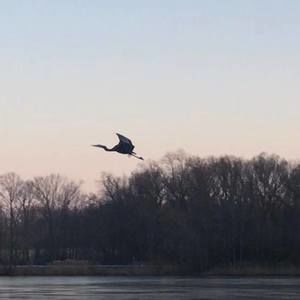 Meet your Posher, Carly